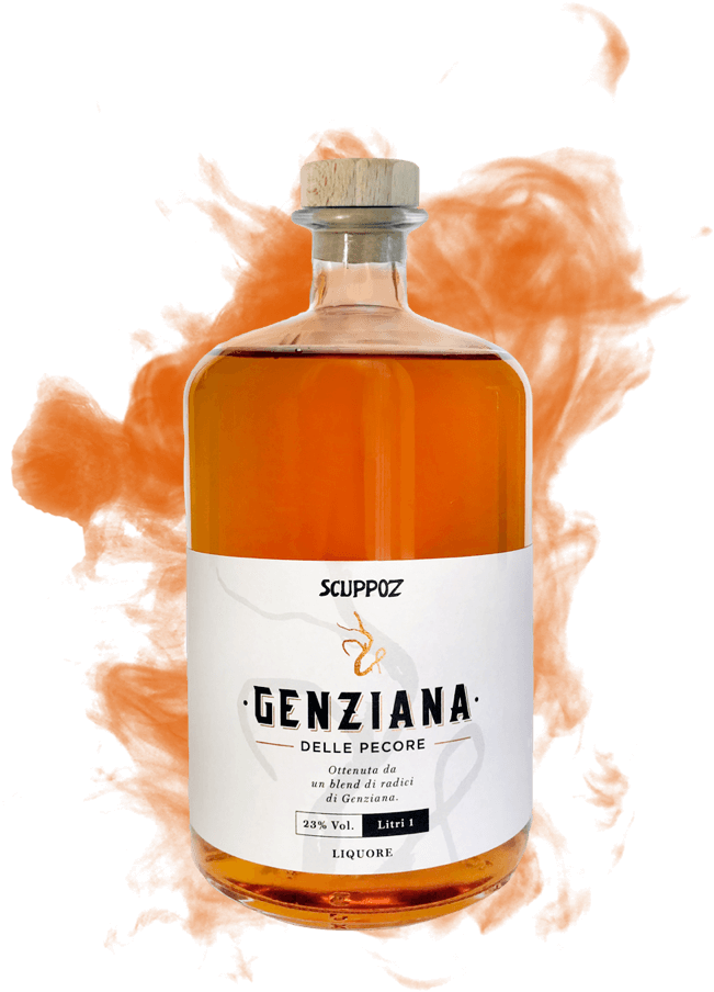 liquore di genziana genziana delle pecore con radici colte ad alta quota naturali artigianale Scuppoz in Abruzzo a Teramo